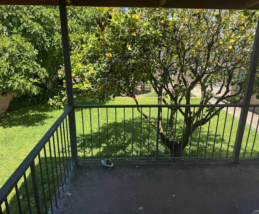 $250, Share-house, 3 bathrooms, Bentleigh East VIC 3165