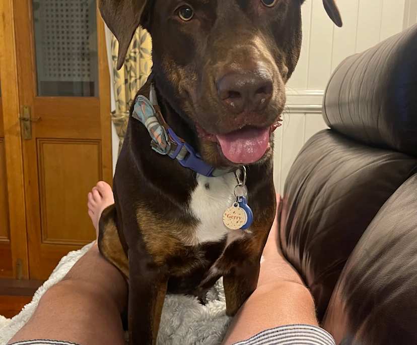 $300, Share-house, 4 bathrooms, Stafford Heights QLD 4053