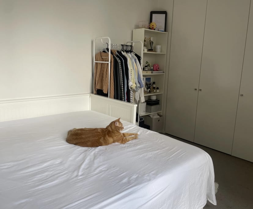 $580, Flatshare, 3 bathrooms, Sydney NSW 2000