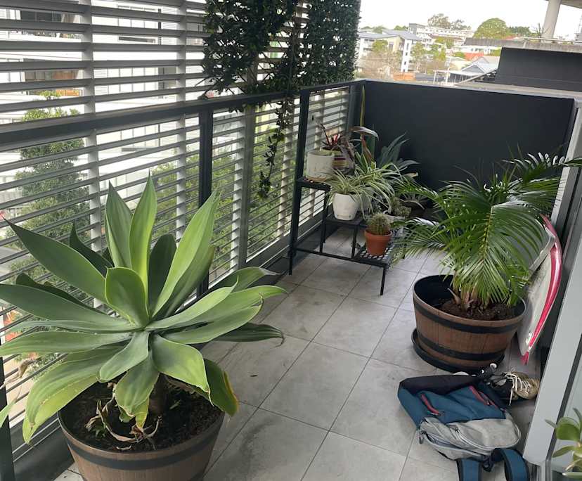 $350, Flatshare, 2 bathrooms, Nundah QLD 4012
