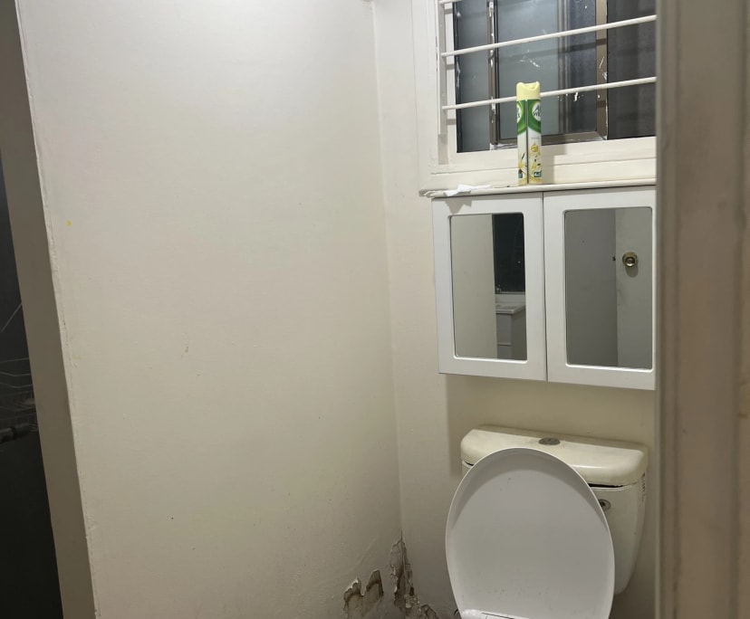 $350, Student-accommodation, 1 bathroom, Minto NSW 2566