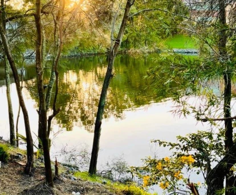 $650, Student-accommodation, 3 bathrooms, Varsity Lakes QLD 4227