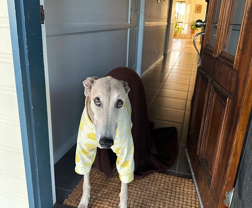 Unfurnished room with own bathroom