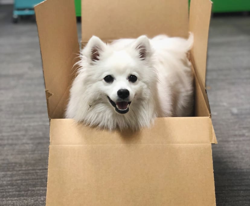 $420, Share-house, 5 bathrooms, Richmond VIC 3121