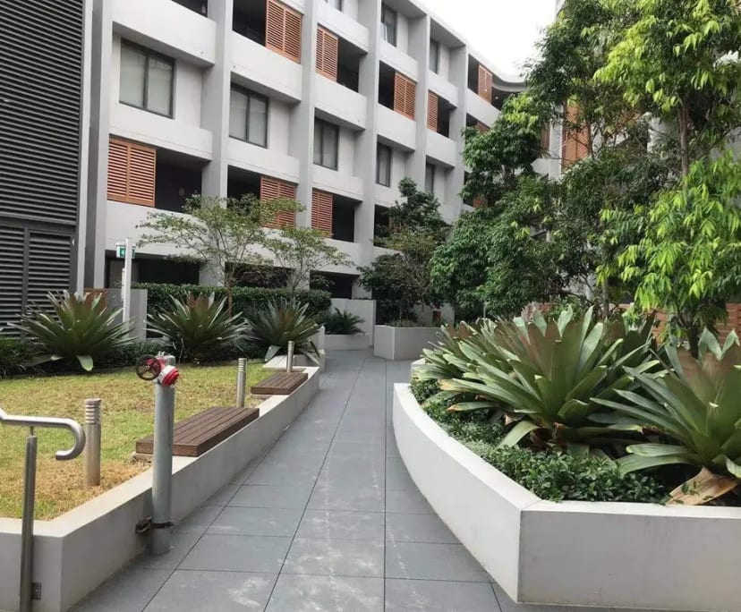 $435, Share-house, 4 bathrooms, Pyrmont NSW 2009