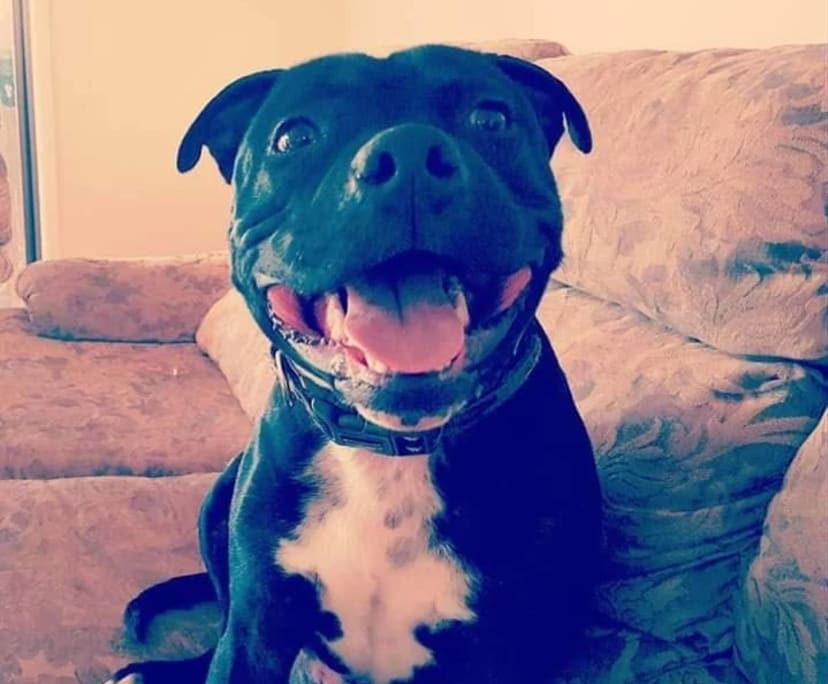 $250, Flatshare, 3 bathrooms, Calamvale QLD 4116