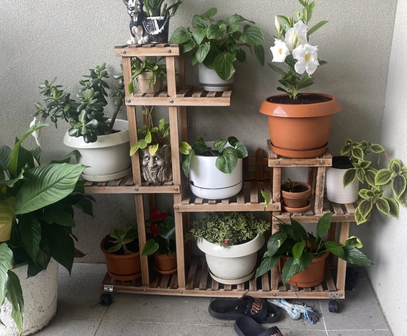 $275, Share-house, 3 bathrooms, Caboolture South QLD 4510