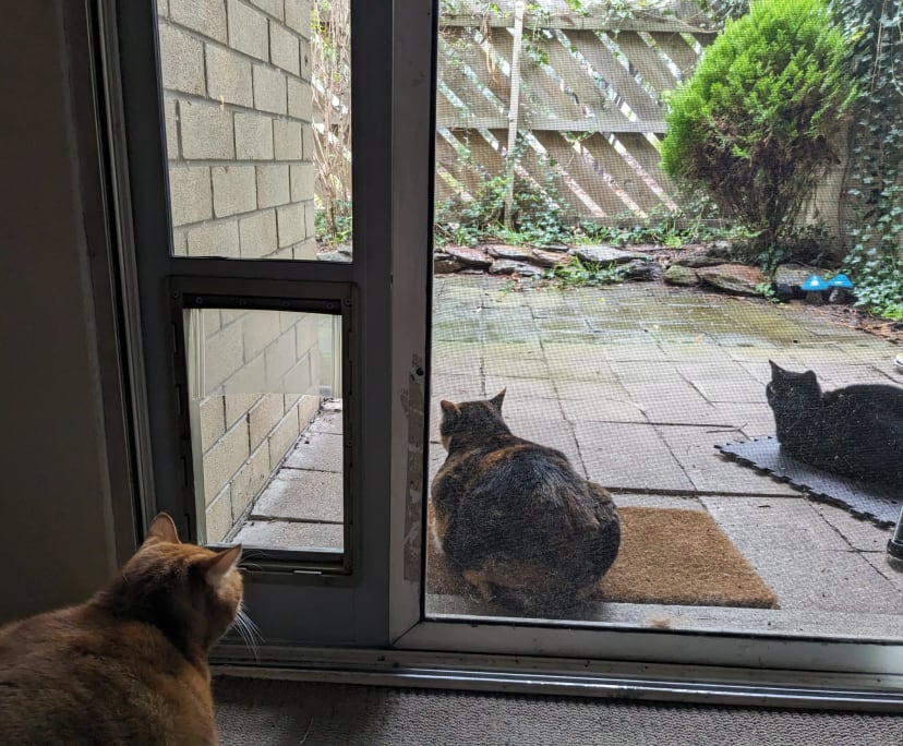 Unfurnished room in a flatshare