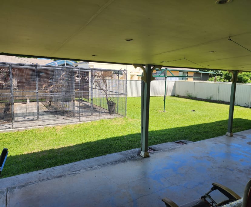 $250, Homestay, 3 bathrooms, Westdale NSW 2340