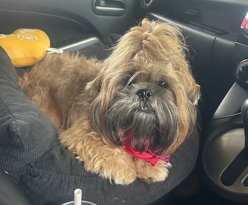 $450, Flatshare, 3 bathrooms, Randwick NSW 2031