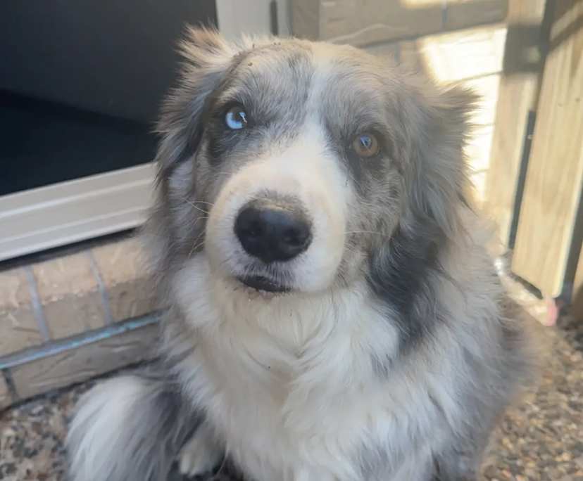 $300, Share-house, 4 bathrooms, Redbank Plains QLD 4301