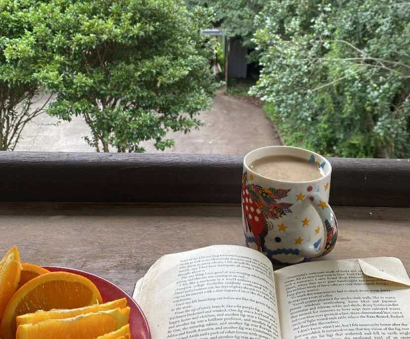 $160, Share-house, 5 bathrooms, Taringa QLD 4068