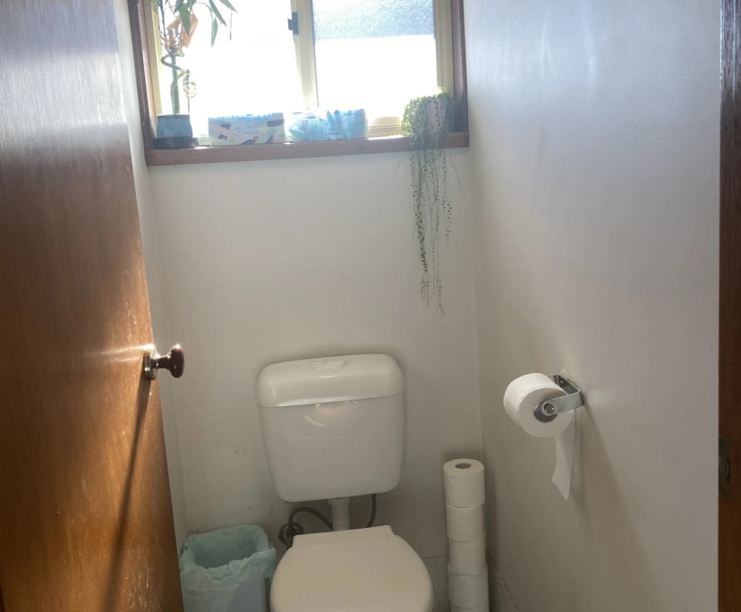 $220, Share-house, 2 bathrooms, North Lambton NSW 2299