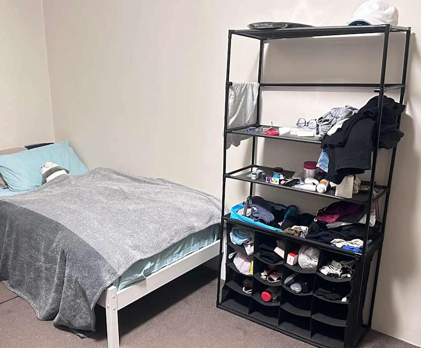 $260, Flatshare, 3 bathrooms, Pyrmont NSW 2009
