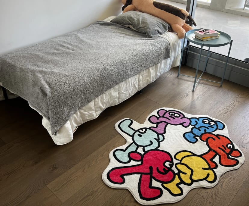 Furnished room in a flatshare