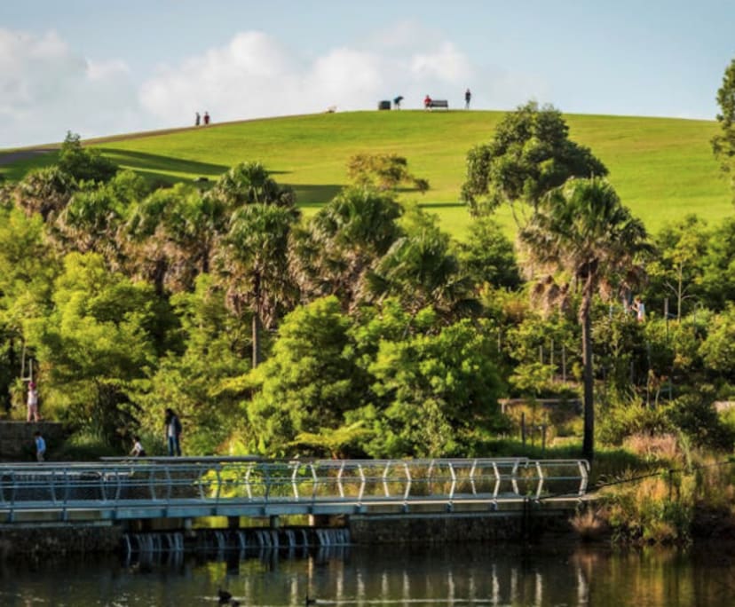 $445, Share-house, 6 bathrooms, Saint Peters NSW 2044