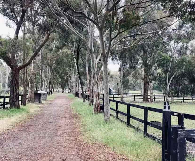 One bed flat for rent