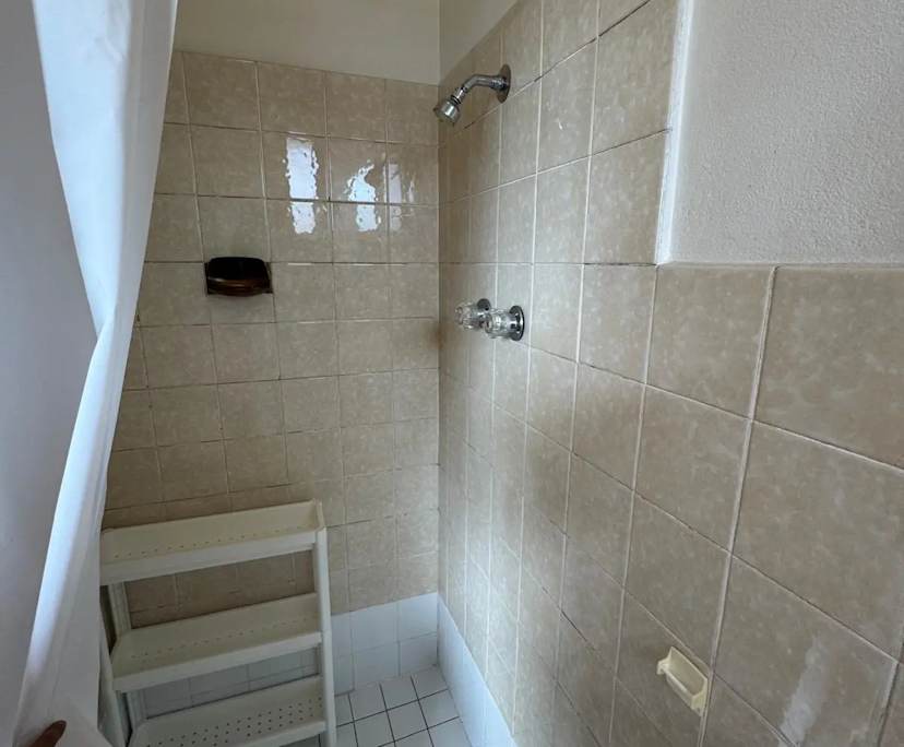 $390-460, Flatshare, 3 rooms, Ashfield NSW 2131, Ashfield NSW 2131