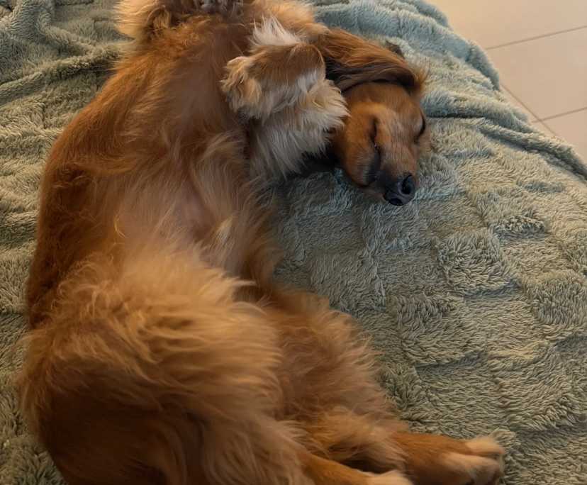 $430, Flatshare, 2 bathrooms, Newstead QLD 4006