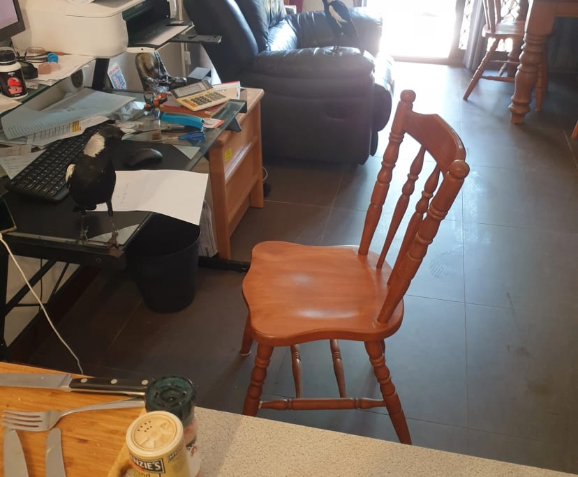 $315, Flatshare, 2 bathrooms, Sunrise Beach QLD 4567