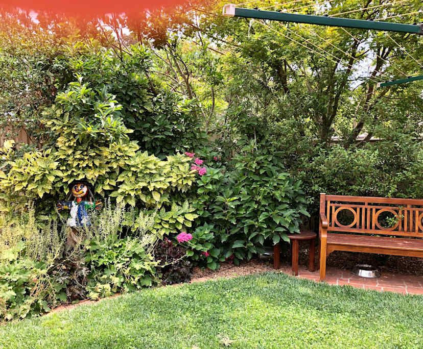 $300, Share-house, 3 bathrooms, O'Connor ACT 2602