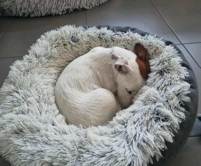 $260, Share-house, 4 bathrooms, Sippy Downs QLD 4556