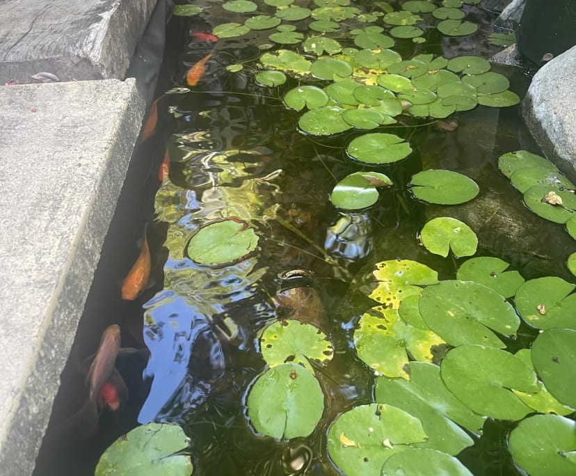 $320, Share-house, 4 bathrooms, Ashmore QLD 4214