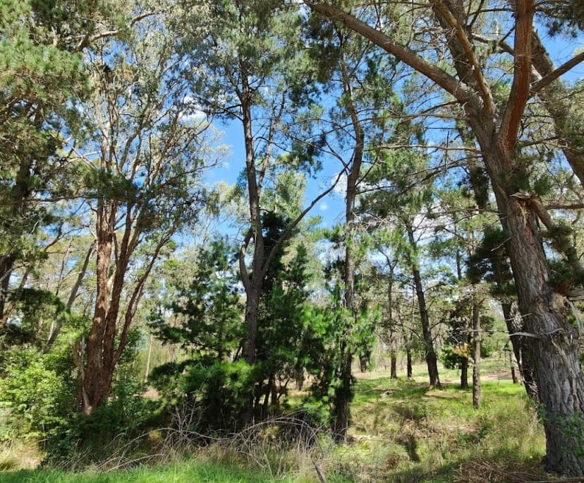 $180, Share-house, 3 bathrooms, Broadford VIC 3658