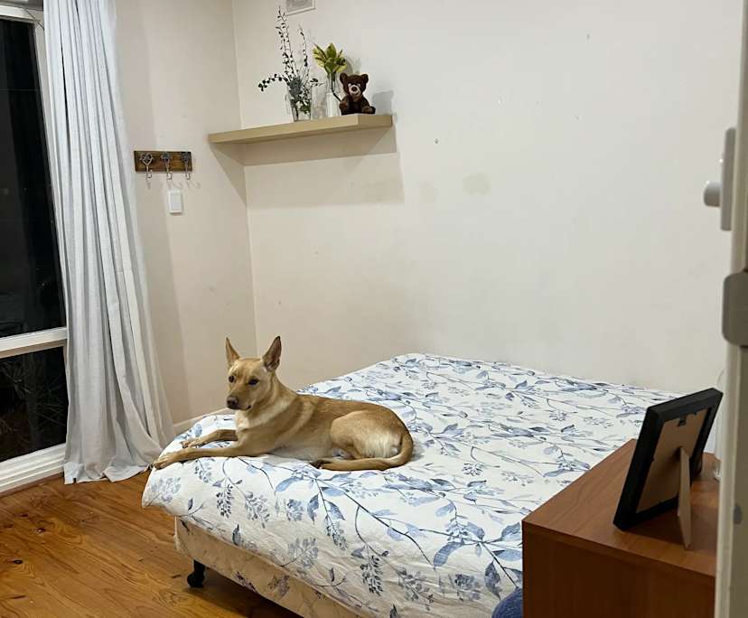 $320, Share-house, 4 bathrooms, Flinders Park SA 5025