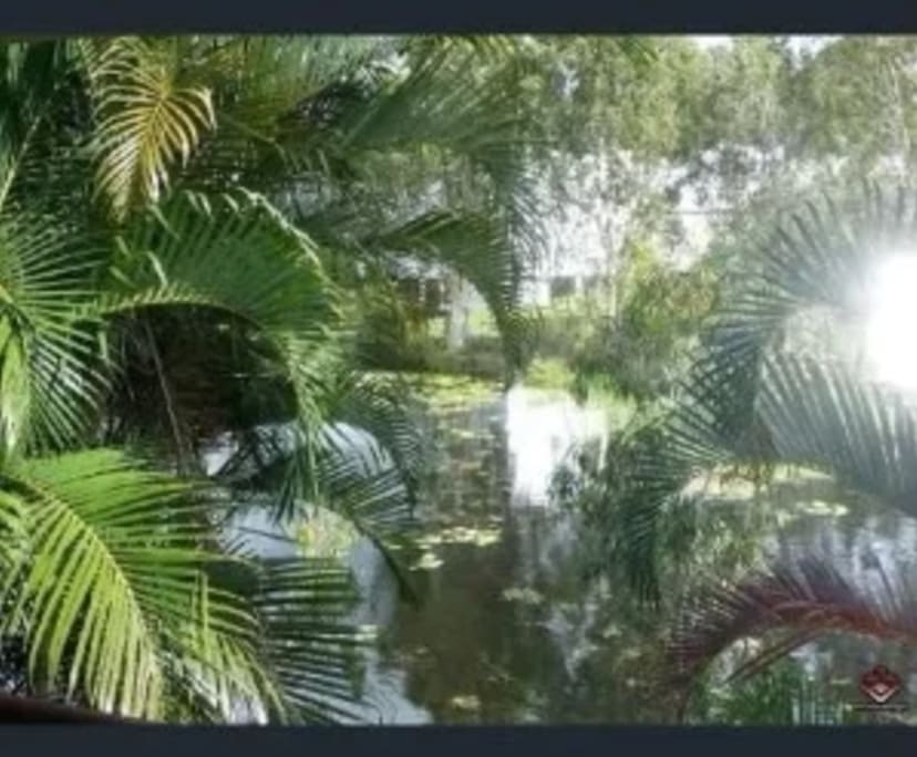 $285, Share-house, 3 bathrooms, Highland Park QLD 4211