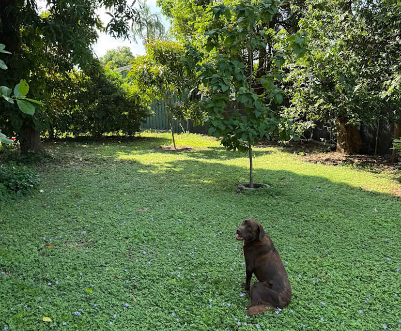 Room in a share house