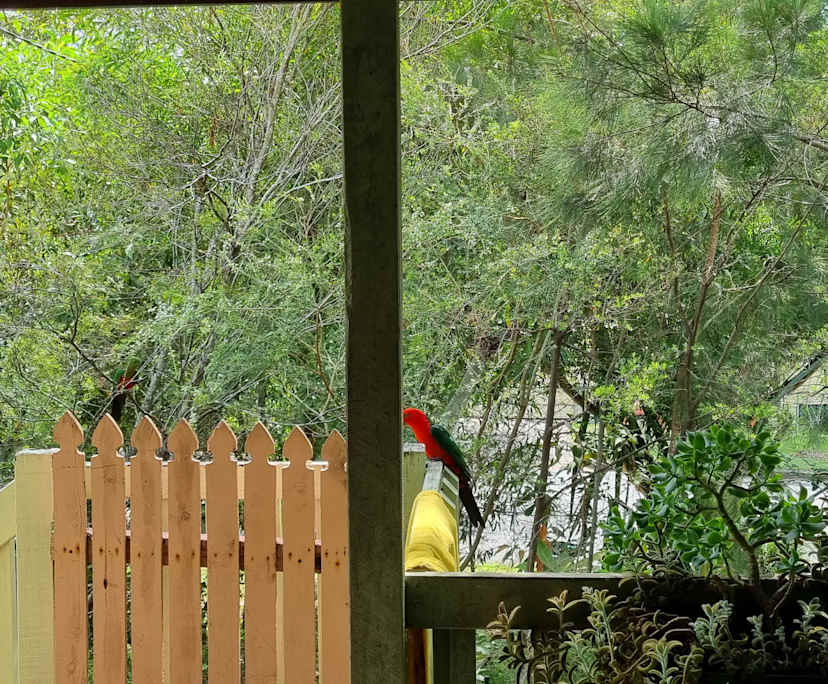 Unfurnished room in a share house