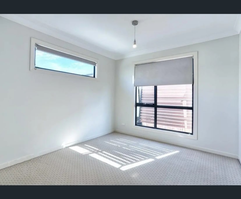 $260, Share-house, 3 bathrooms, Annerley QLD 4103