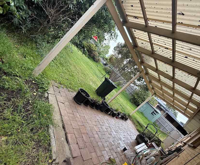 Room in a share house