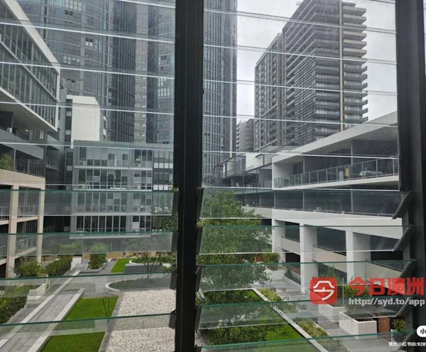 $550, Share-house, 2 bathrooms, Wentworth Point NSW 2127