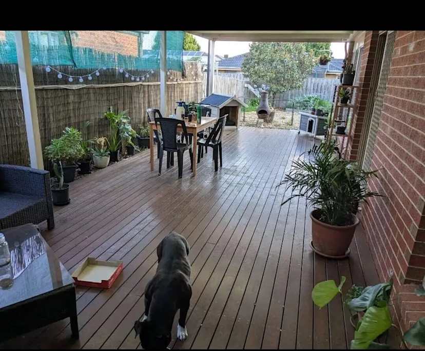 Room in a share house