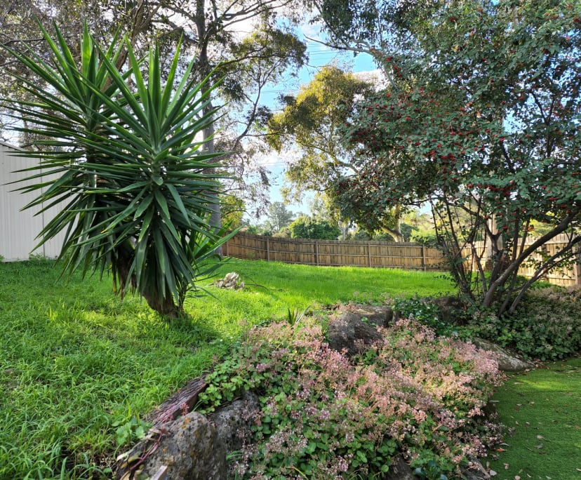 $295, Share-house, 3 bathrooms, Mount Waverley VIC 3149