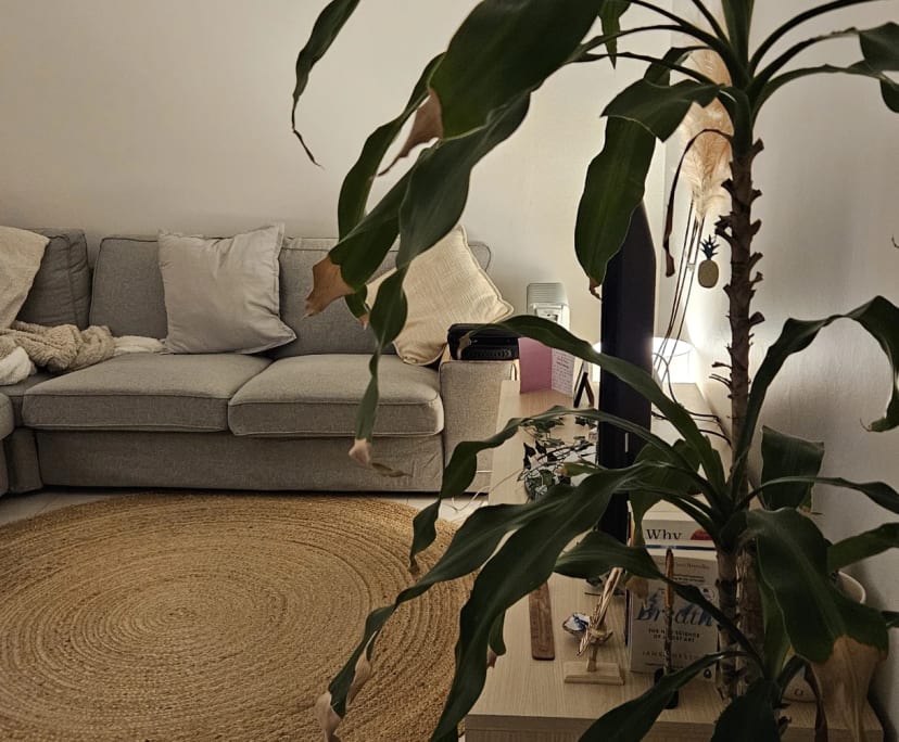 Furnished room in a flatshare