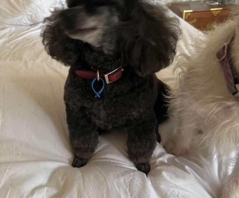 $280, Share-house, 3 bathrooms, Skye VIC 3977