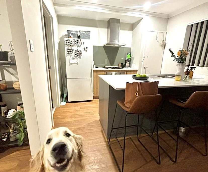 Room in a share house