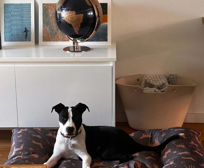 Room in a flatshare