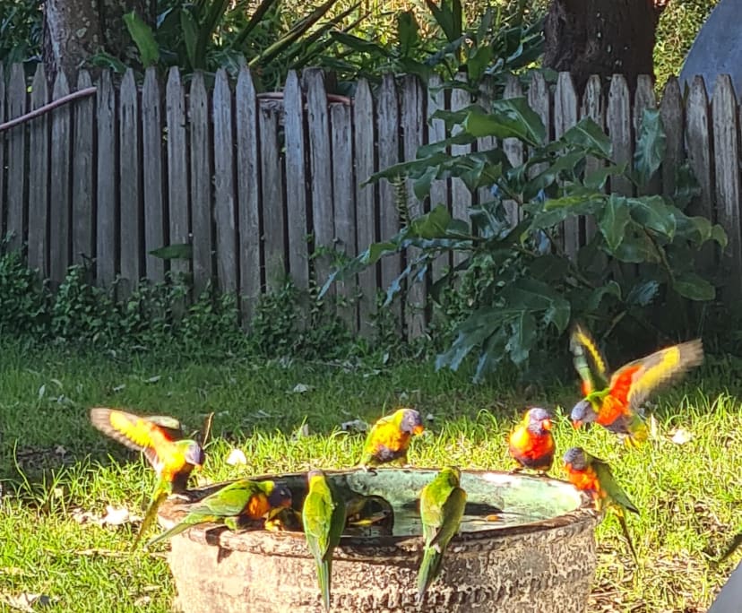 Room for Rent in Tomerong, NSW 250, Flexible with...