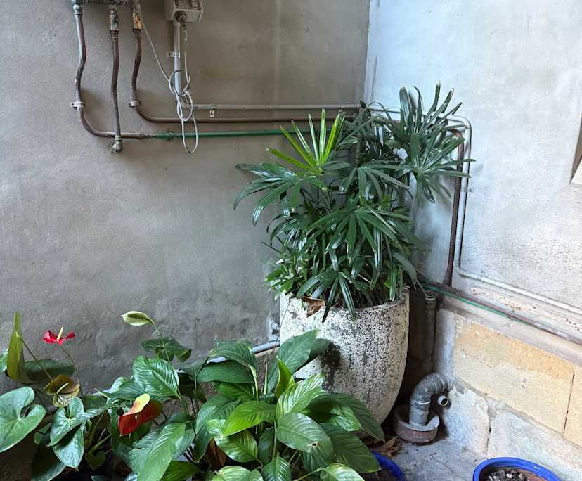 $450, Share-house, 3 bathrooms, Surry Hills NSW 2010