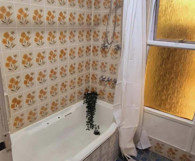 $390, Share-house, 6 bathrooms, Marrickville NSW 2204