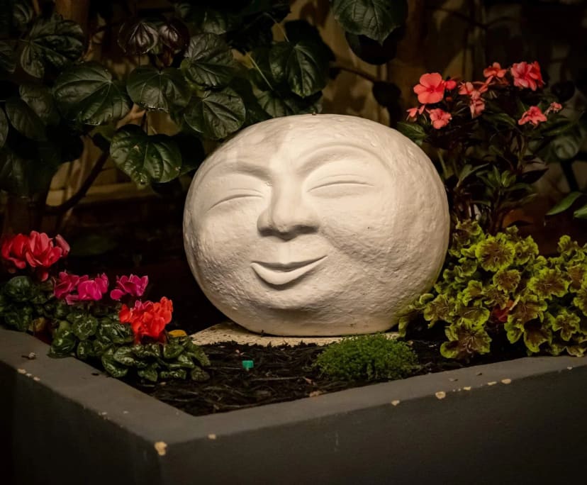 $270, Share-house, 3 bathrooms, Bicton WA 6157