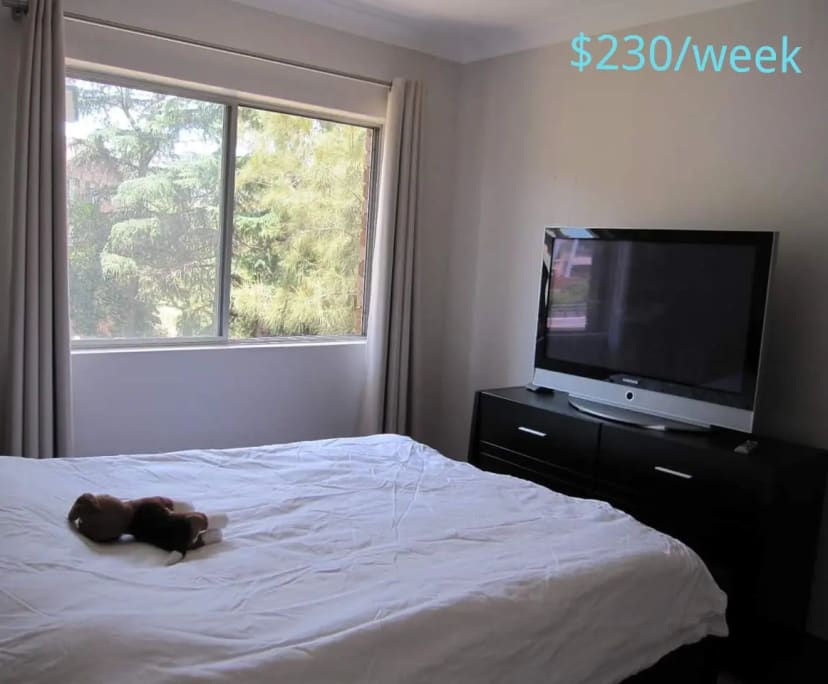 $190-210, Flatshare, 2 rooms, Parramatta NSW 2150, Parramatta NSW 2150