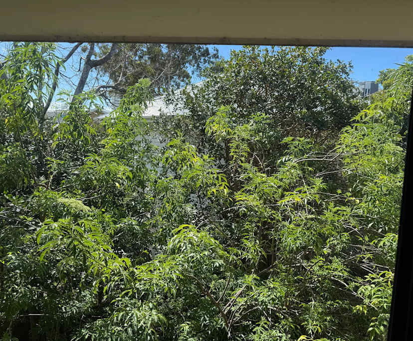 $275, Flatshare, 2 bathrooms, Coolangatta QLD 4225