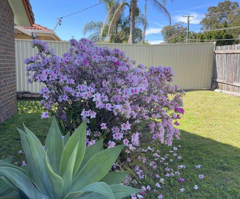 $270, Share-house, 3 bathrooms, Nerang QLD 4211