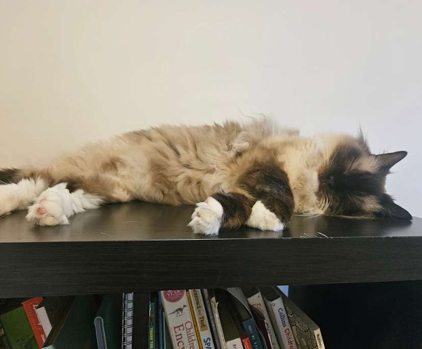 $230, Share-house, 4 bathrooms, Epping VIC 3076