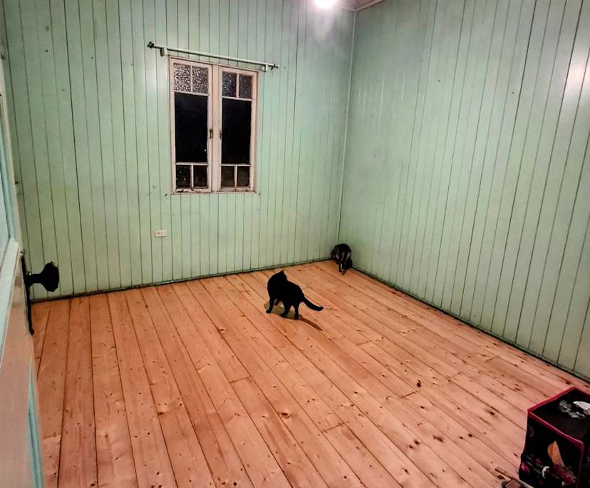 Unfurnished room in a share house